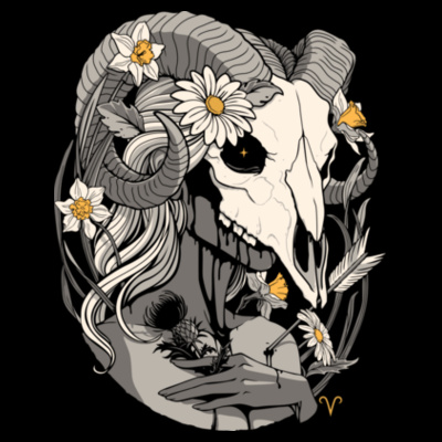 ARIES Design